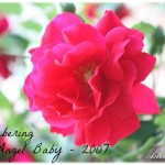 miscarriage
