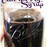 elderberry