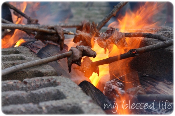 Image result for steak and a stick over fire photos
