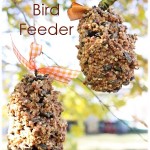 pinecone_birdfeeder8-2