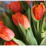 spring_mantel12