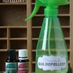 homemade bug repellent