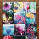 Print Your Instagram Photos with Snapstagram | MyBlessedLife.net