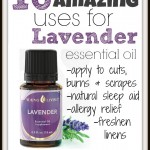 10 Amazing Uses for Lavender Essential Oil | MyBlessedLife.net