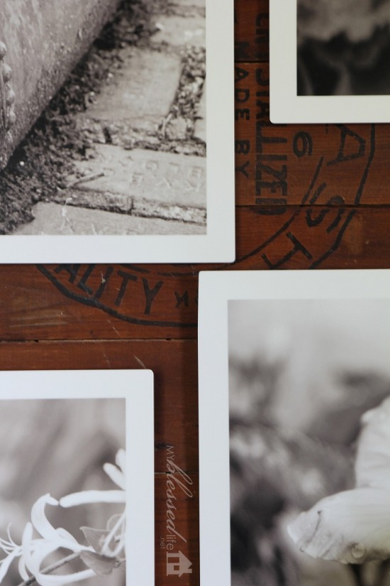 Turn Your Photos Into Metal Wall Art