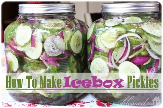 refrigerator pickles recipe