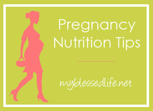Pregnancy Nutrition Tips {And Week 17 Photo!}