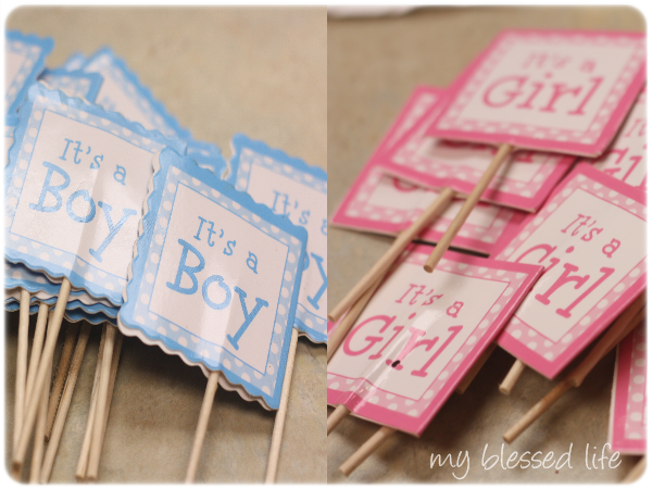 Gender Reveal Party – It’s A…
