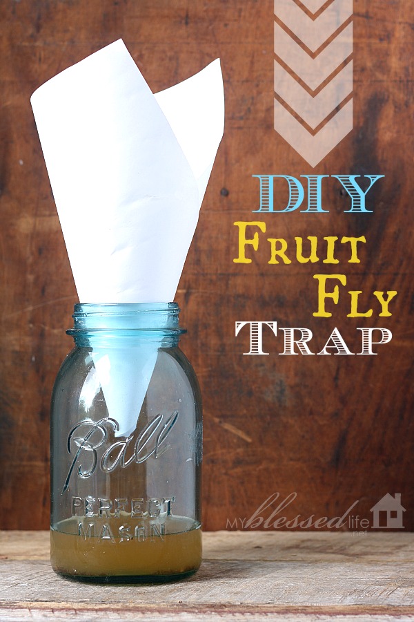 Get Rid Of Fruit Flies! {DIY Fruit Fly Trap}
