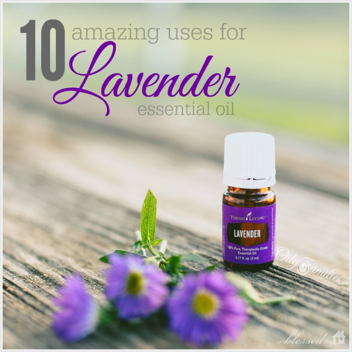 10 Amazing Uses for Lavender Essential Oil