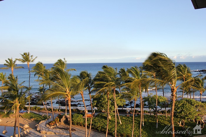 My Amazing Hawaii Adventure! {with Young Living}