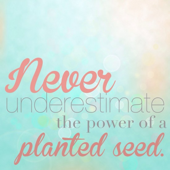 the power of a planted seed {and i'm not talking about flower seeds ...