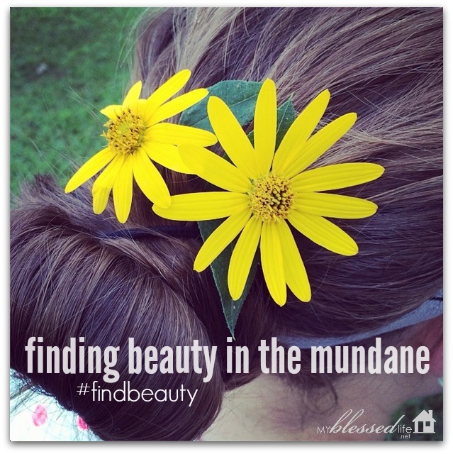 finding beauty in the mundane